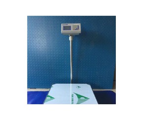電子臺(tái)秤